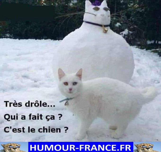 text alternatif