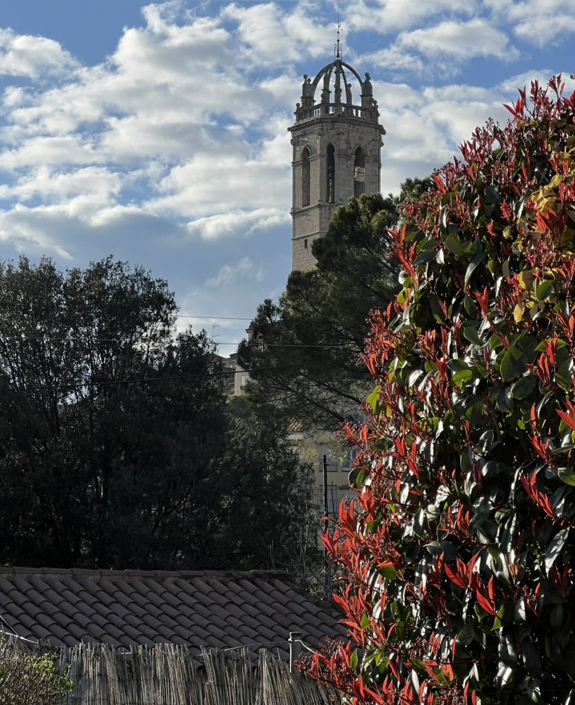 MeteoMoià tweet media