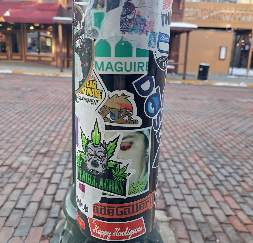 Flurries do ya thing

Who this be? Found in SD 🤔