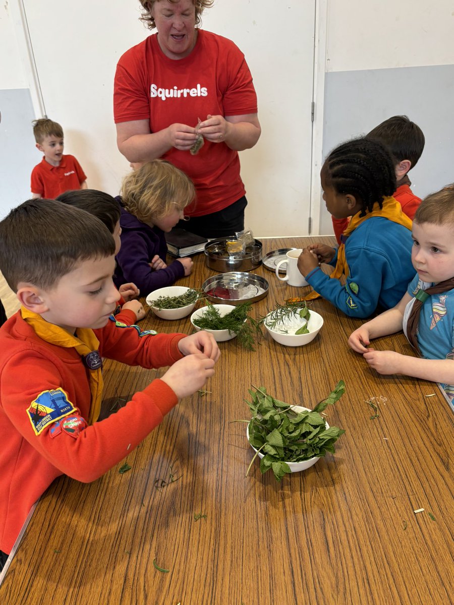 16th Wood Green Scout Group tweet media