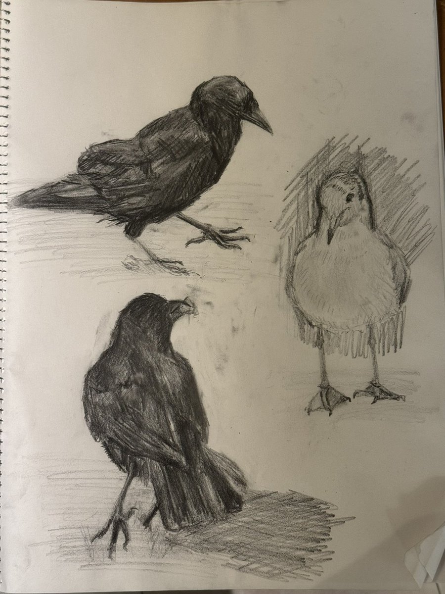 怒りに任せて描いたるぞｺﾗｰｰｰｰｰｰｰ😡