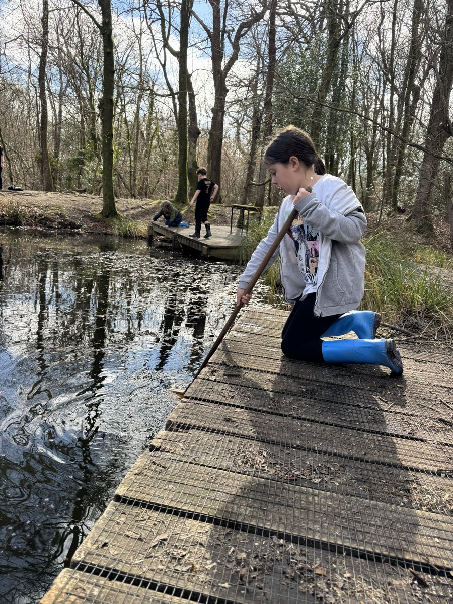 Pond Dipping