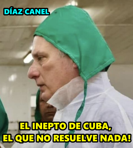 Amapola20202's tweet photo. Este es el títere de turno que no es capaz ni de garantizar el pan diario🤔
@DiazCanelB https://t.co/VEh7x0t5Uv