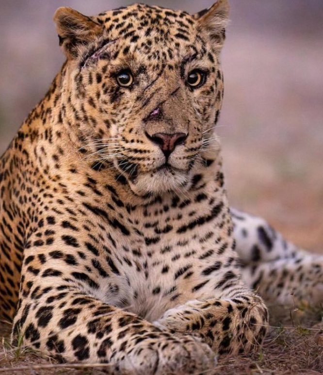 البنت اللي عايشه بين أخوانها وما عندها أخوات.