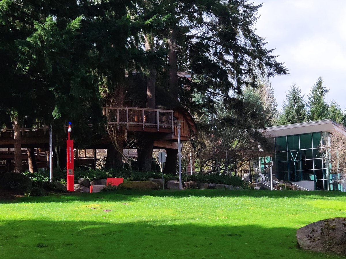 When the weather is so nice a little walk across the tree houses is a good option for your jetlag reduction 😁 #mvpbuzz #microsoft #summit #azure #mvpaward