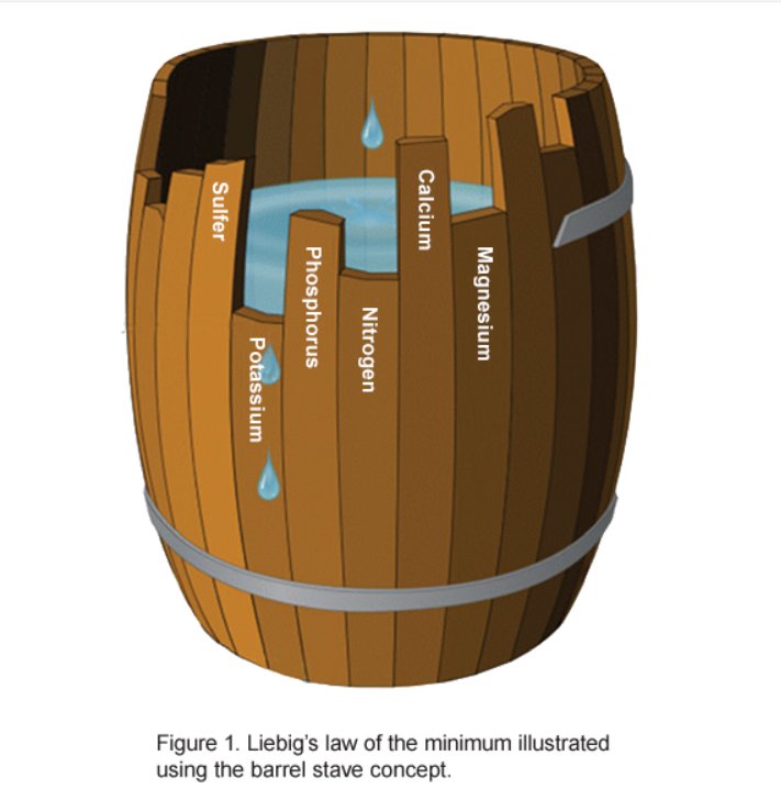 Chris K. tweet media