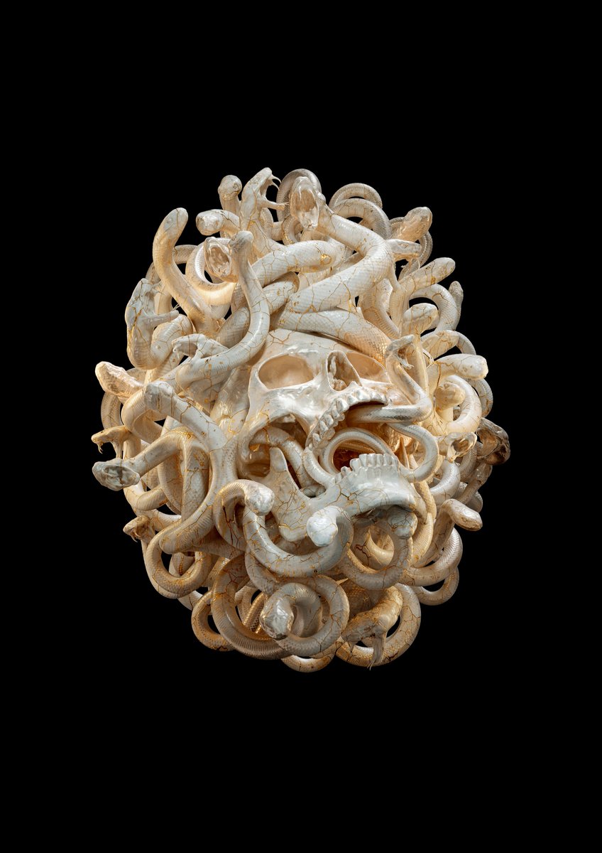 Medusa wasn’t a monster, she was a victim…