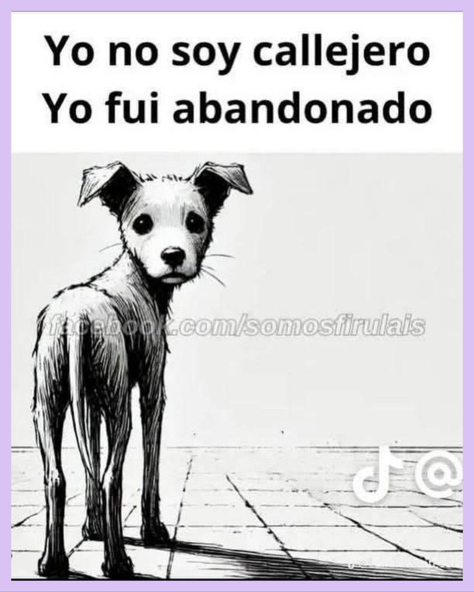 ¡Tú! Me abandonaste.
No fue la calle, fuiste tú🫵.
Tú que prometiste cuidarme y me dejaste solo, con miedo, con hambre.
Yo no era callejero. Tenía hogar… tenía nombre.
Acuérdate de eso toda tu vida.
Porque yo no te olvido.
Ni el frío, ni los golpes, ni la indiferencia borran lo