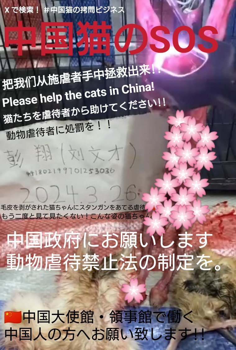 PhaedraXTeddy's tweet image. Im not a doctor but it seems to be an incurable mental disease morelikely to be caught in ccp 🇨🇳#china.