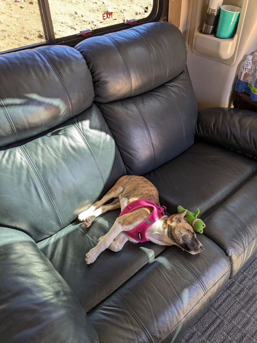 26 of 27 scheduled blocks on chain. 1 lost slot battle. Coming up on 3 months on the road with the BP in the RV for every block. All on chain except the slot battles.

Next epoch has 15 blocks scheduled @ 97% epoch luck.

Thank you everyone. 🙏