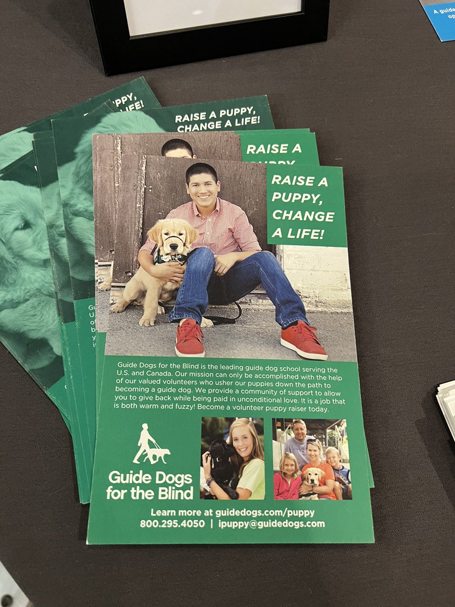 Best conference activity yet - playing with puppies in training to be guide dogs. Thank you, Guide Dogs for the Blind and #upcea2025