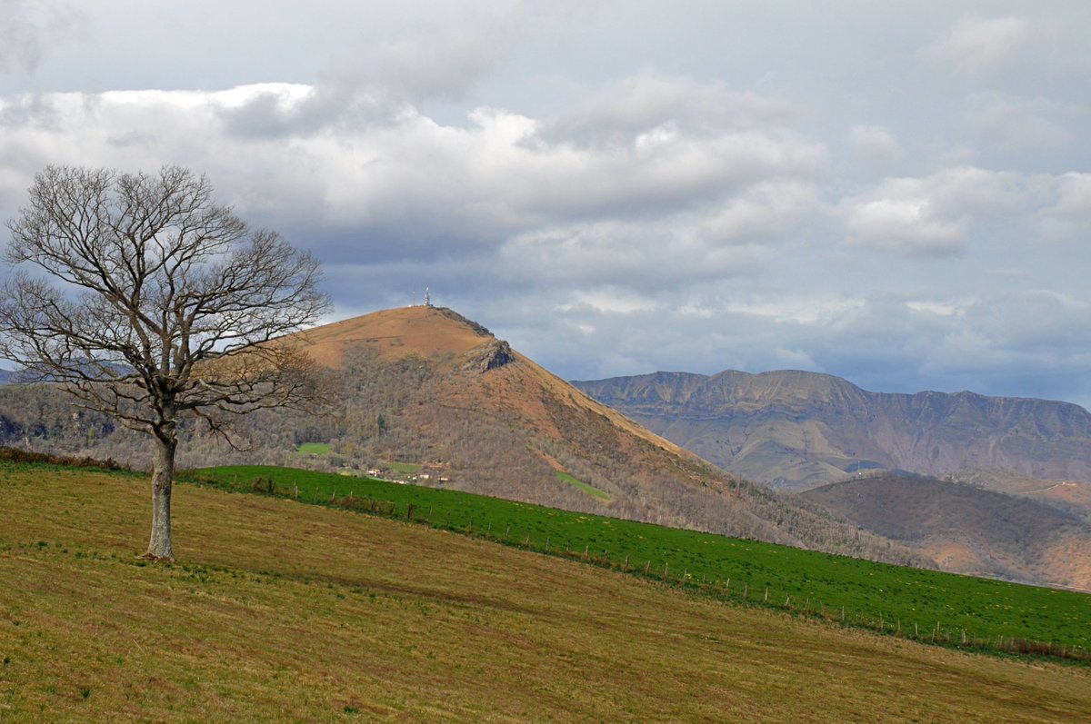 Boucle au départ d'Ispoure et au milieu des vignes vers le sommet d'Arradoy. 
Belles vues panoramiques durant la randonnée, sur le bassin de Cize et les sommets basques:
randopyrenees.blogspot.com/2025/03/pic-da…
600D+ 10km 3h30
#paysbasque #rando #pyrenees #baladesympa #photo #euskalherria