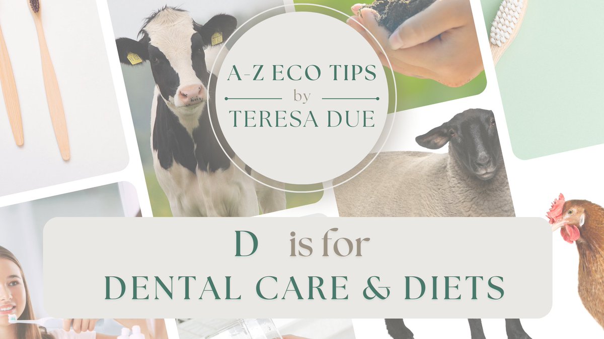 Dental Care &amp; Diets!
Our letter-by-letter review of environmental topics, by Teresa Due, we're at "D".
ecoshowandtell.org/a-z-eco-tips-b…
Diet: Meat production, especially beef, requires large amounts of land
Dental care: Taking care of your teeth  doesn’t need to be damaging to the planet.