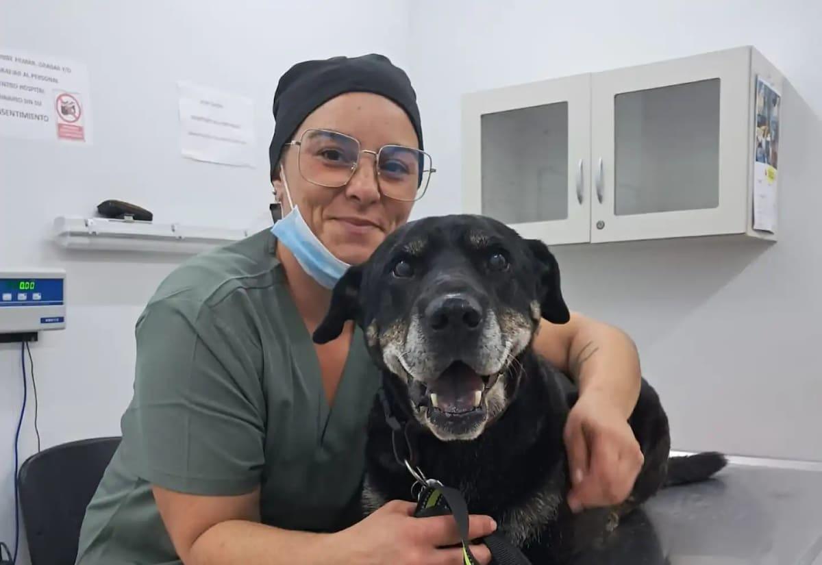 LA NACION tweet media