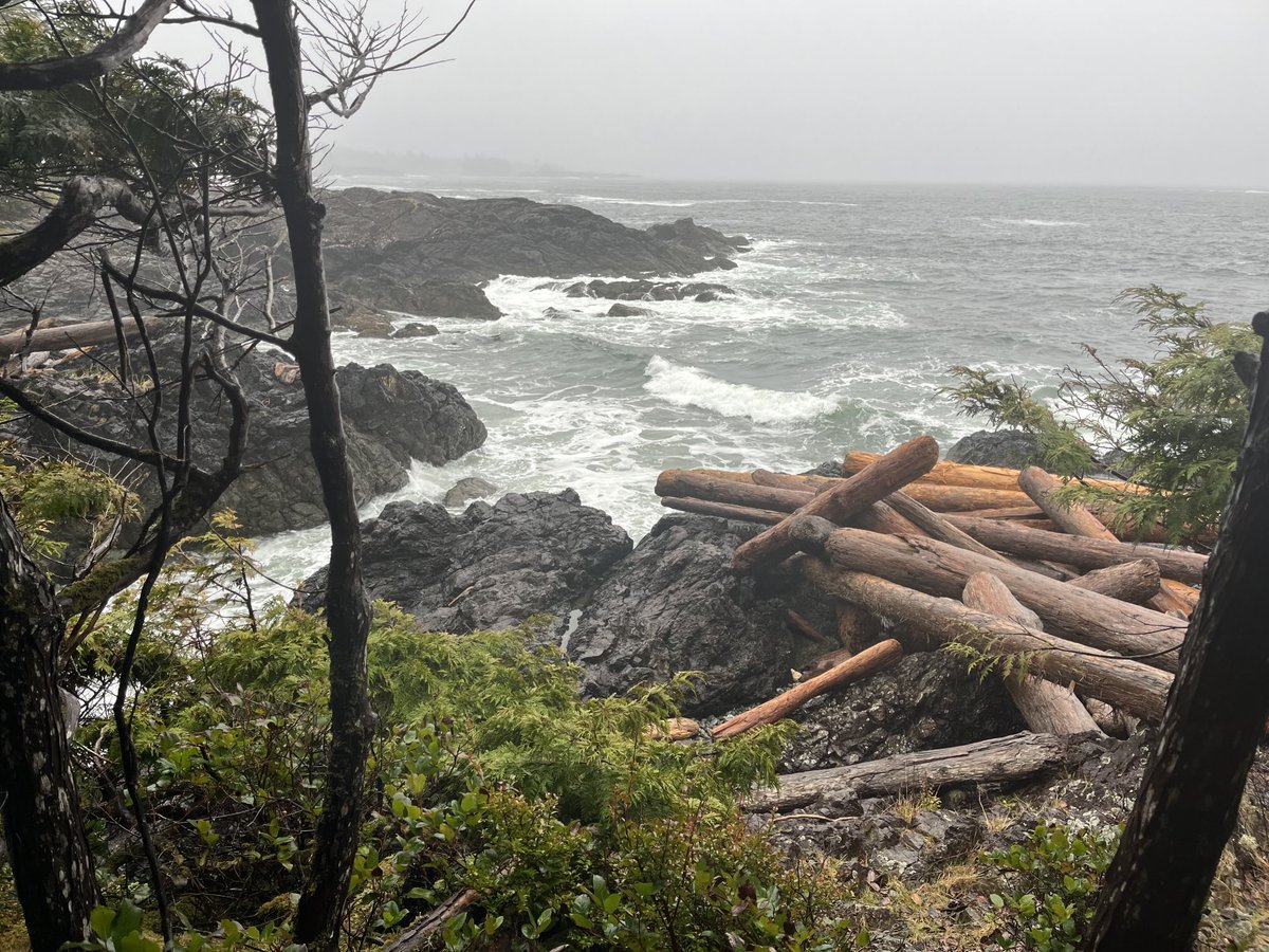 What a great spot for a run! Wild Pacific Trail is extending!