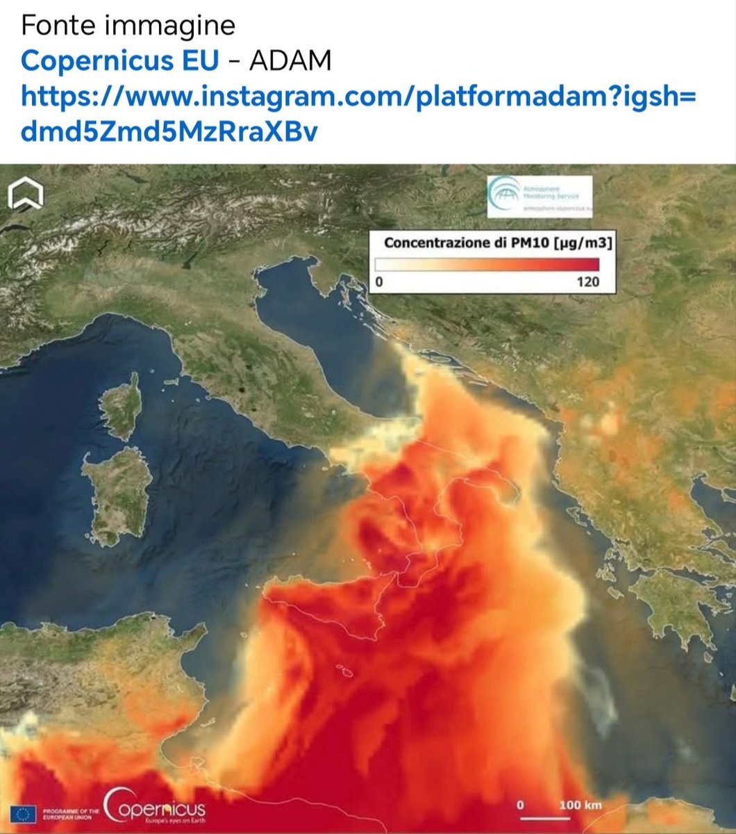 Giandomenico tweet media