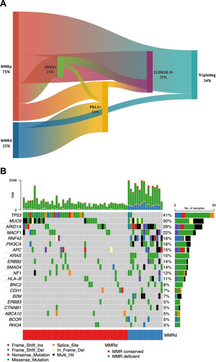 New #JITC article: Comprehensive immunophenotyping of gastric adenocarcinoma identifies an inflamed class of tumors amenable to immunotherapies bit.ly/4iNWUem