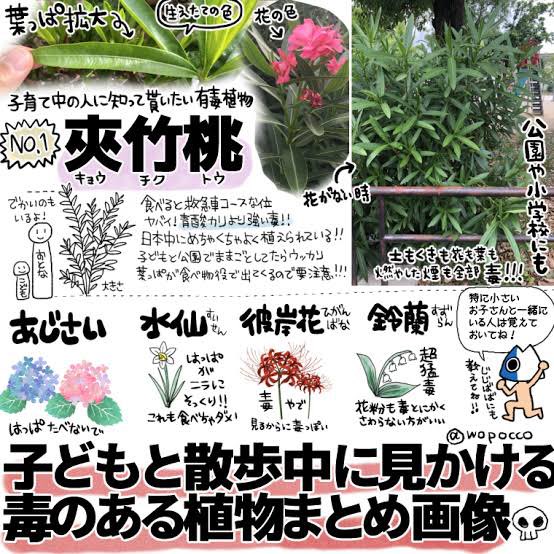 <a href="/km116im/">みさまま</a> マジすぐ触るから賛成