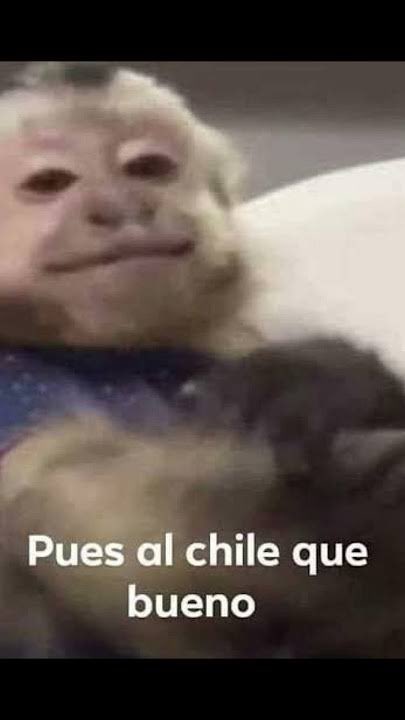 AaronVera2003's tweet photo. Yo al enterarme que bajaron a lowson y subieron a Yuki en @redbullracing https://t.co/GdxHexvkN1