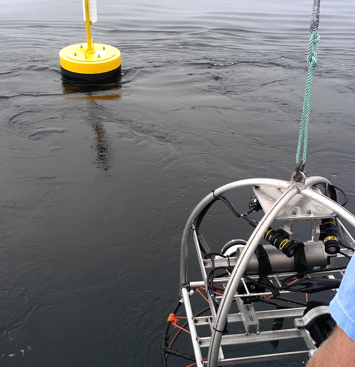 Puget Sound Partnership (@pspartnership) on Twitter photo The <a href="/PugetSoundInst/">The University of Washington Puget Sound Institute</a> free Salish Sea Science Roundtable online speaker series continues April 8 from 12:30 – 1:30 pm. Dr. Sarah Henkel from Oregon State University will discuss offshore renewable energy in the Pacific & potential benthic impacts. Register: bit.ly/3FBGuaL The <a href="/PugetSoundInst/">The University of Washington Puget Sound Institute</a> free Salish Sea Science Roundtable online speaker series continues April 8 from 12:30 – 1:30 pm. Dr. Sarah Henkel from Oregon State University will discuss offshore renewable energy in the Pacific & potential benthic impacts. Register: bit.ly/3FBGuaL