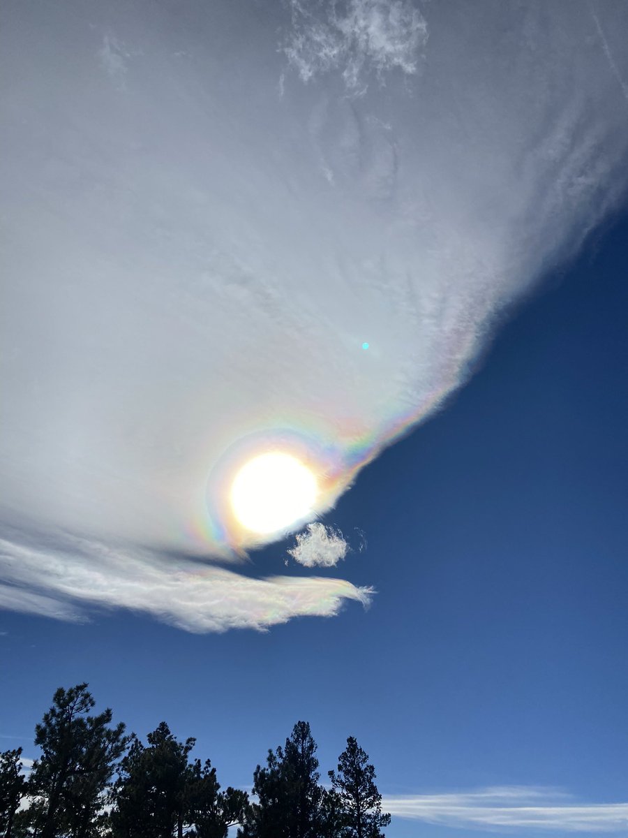 Program Rfk Jr’s phone number  
202-690-7000 into your phone and call every time you see chemtrails ! We will be heard