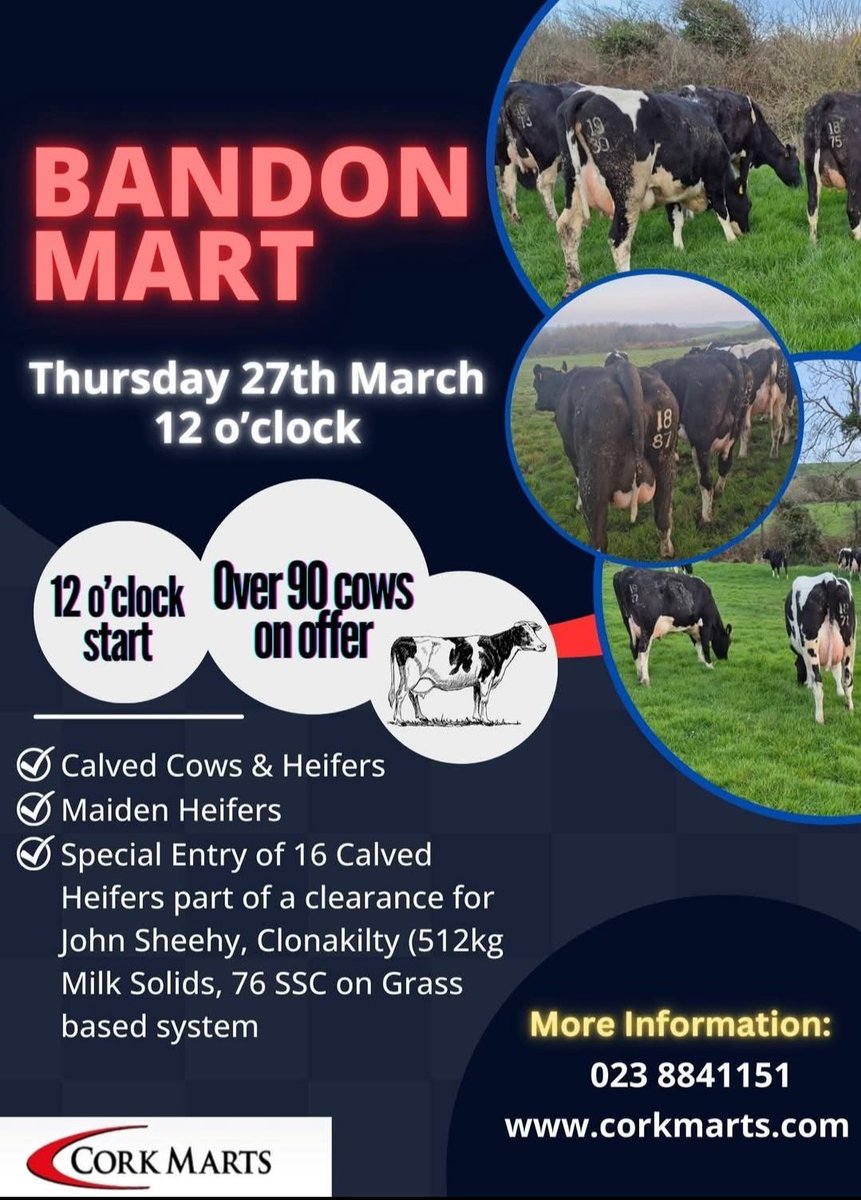 Cork Co-op Marts Ltd (@corkmarts) on Twitter photo 