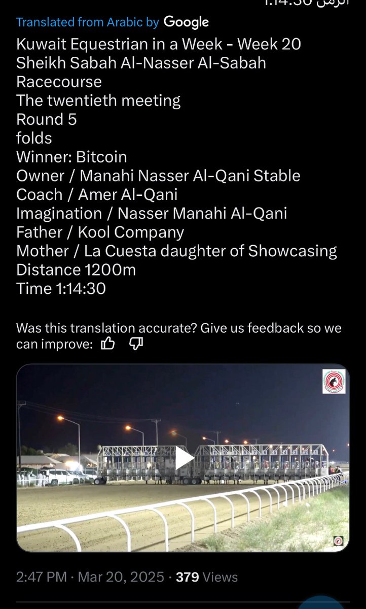 Clongiffen Stud- Robert Honner (@clongiffenstud) on Twitter photo 