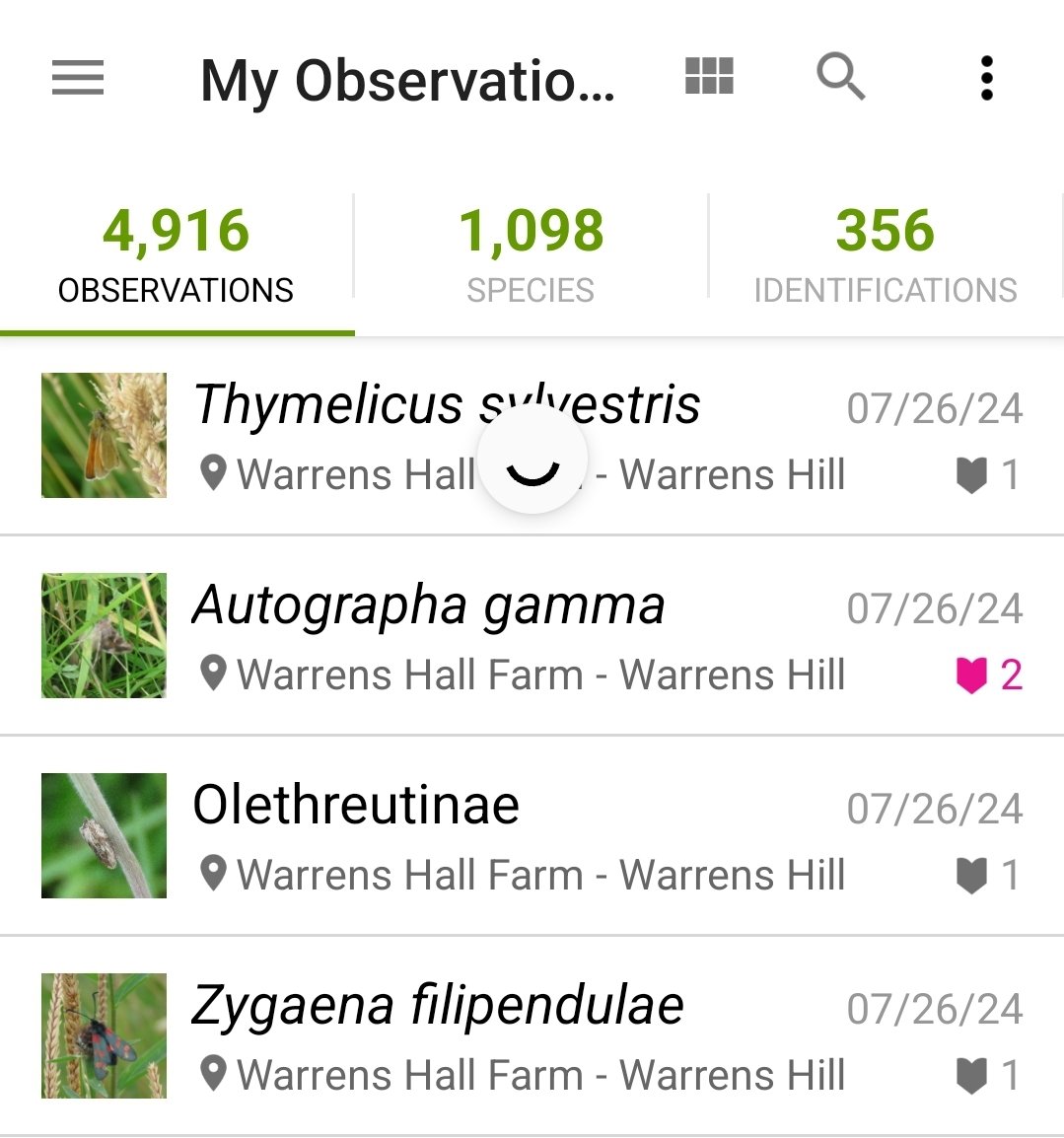 Andy Underscore (@andy_underscore) on Twitter photo I'm only 84 away from hitting 5,000 wildlife observations on <a href="/inaturalist/">iNaturalist</a> I'll have to try to make my 5,000th onservation something interesting! ☘️🐝🐾 I'm only 84 away from hitting 5,000 wildlife observations on <a href="/inaturalist/">iNaturalist</a> I'll have to try to make my 5,000th onservation something interesting! ☘️🐝🐾