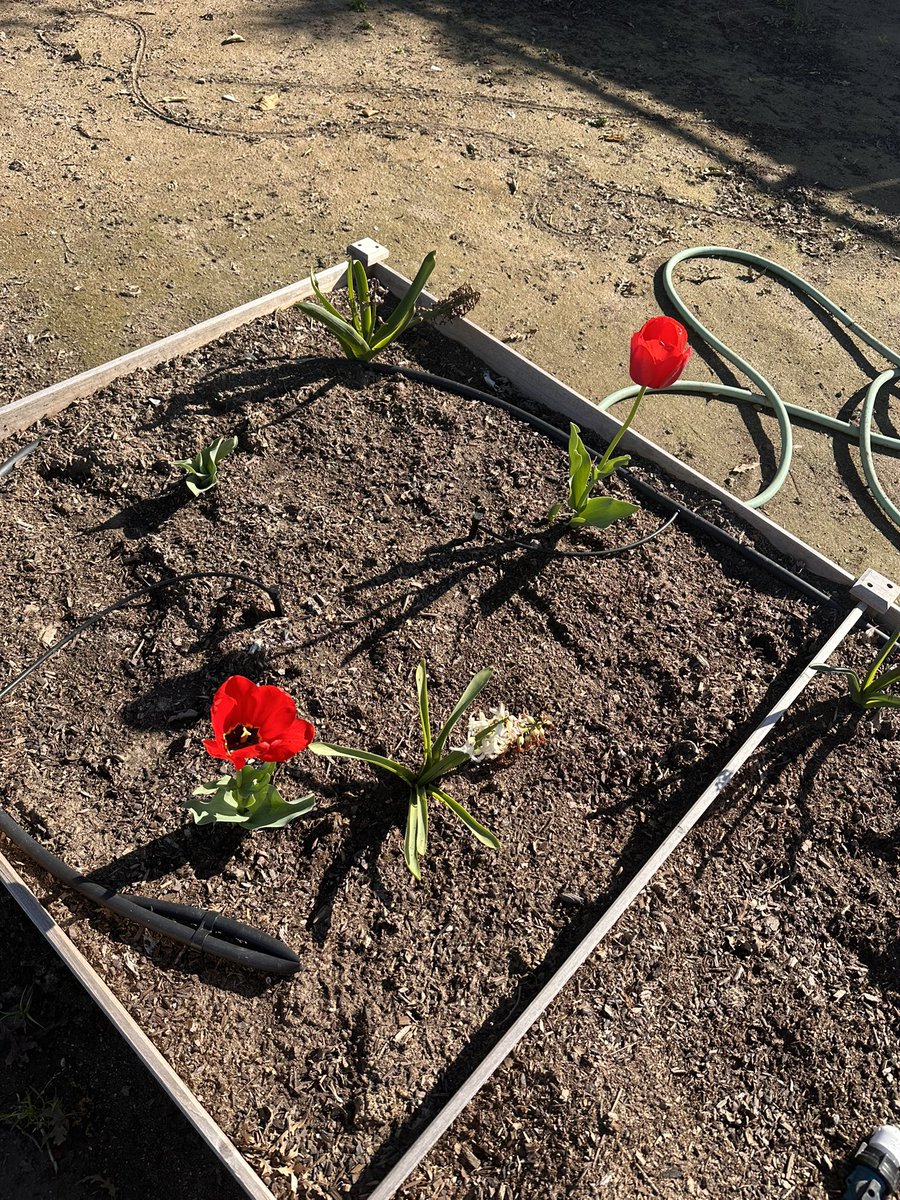 Burton Academy of Science and Agriculture tweet media