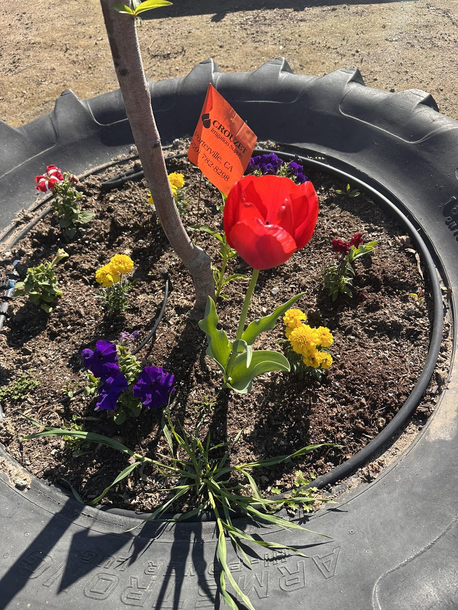 Burton Academy of Science and Agriculture tweet media