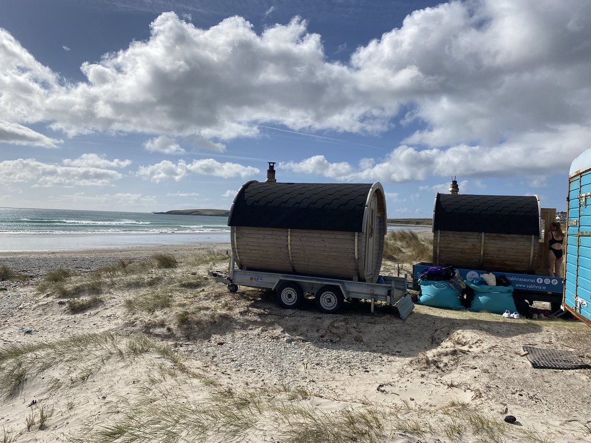 Noreen Curtis tweet media