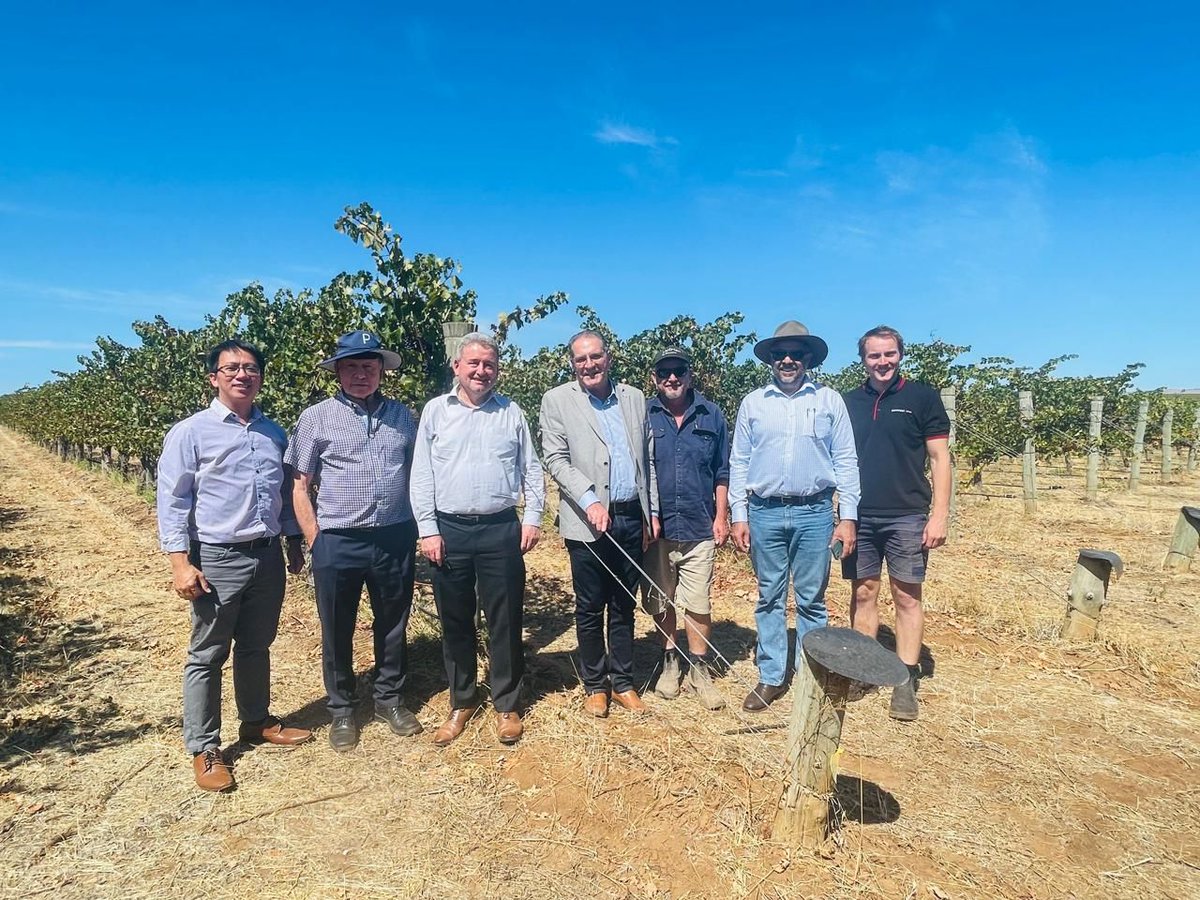 AgoraHighTech's tweet photo. It is truly a great pleasure to be part of this exceptional R&amp;D project 🌱 Digital Twins in Agriculture: Virtual Farm Model for Enhancing Crop Health, Productivity, and Sustainability. 

Learn more https://t.co/sLUYfyP0mf https://t.co/7KaHgdijaa