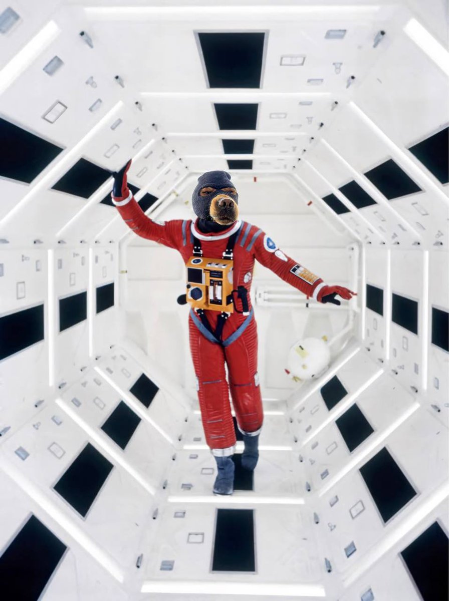 a mission to the moon