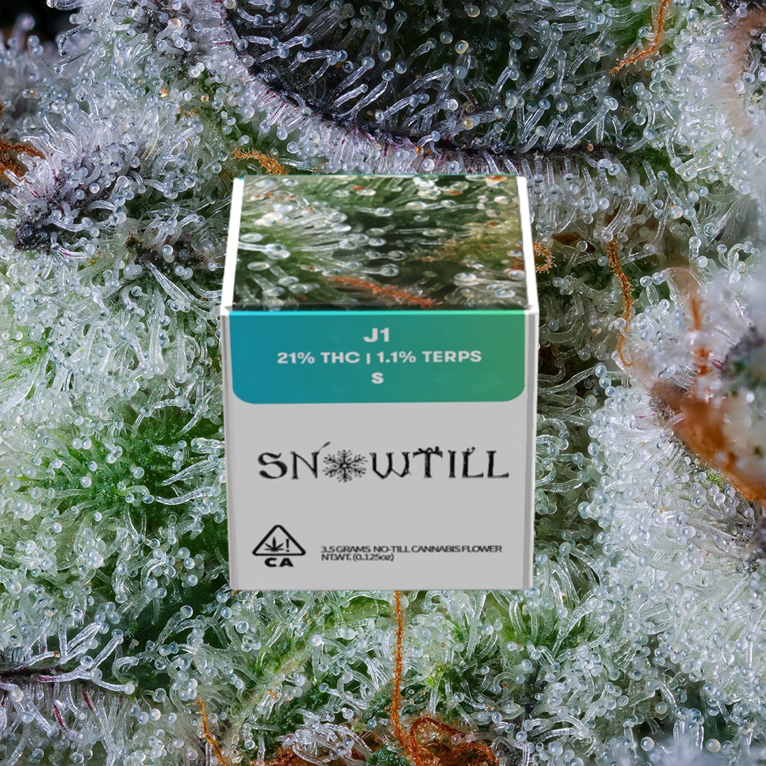 Planet13OC's tweet photo. 🚨 FRESH DROP! 🚨 Just stocked some 🔥 living soil flower from the SF Bay Area! That J1? STRAIGHT GAS. Pull up and cop some @snowtill while it lasts! 🌱💨 #CannabisCommunity #LivingSoil #BayAreaBud https://t.co/R8emiPRi9y