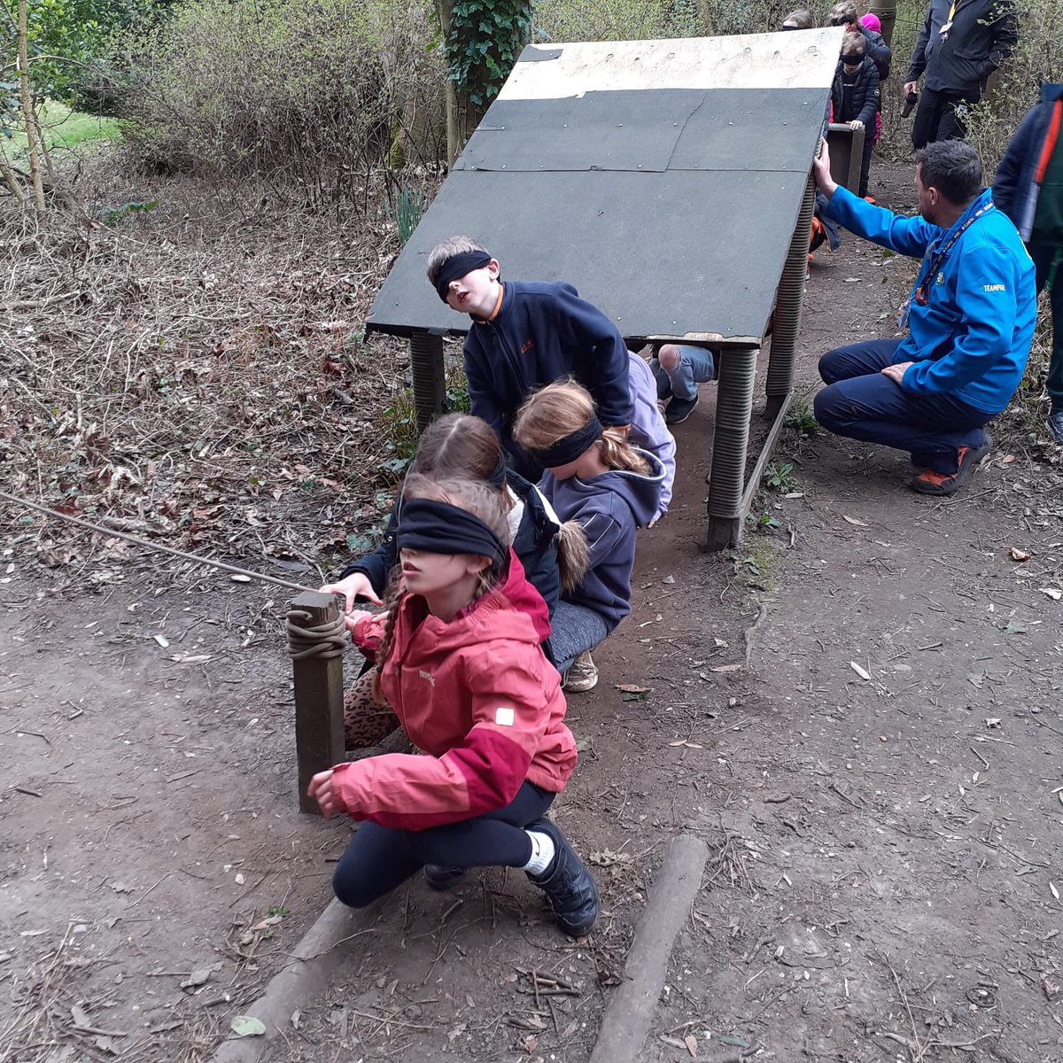 BVS Year 4 tweet media