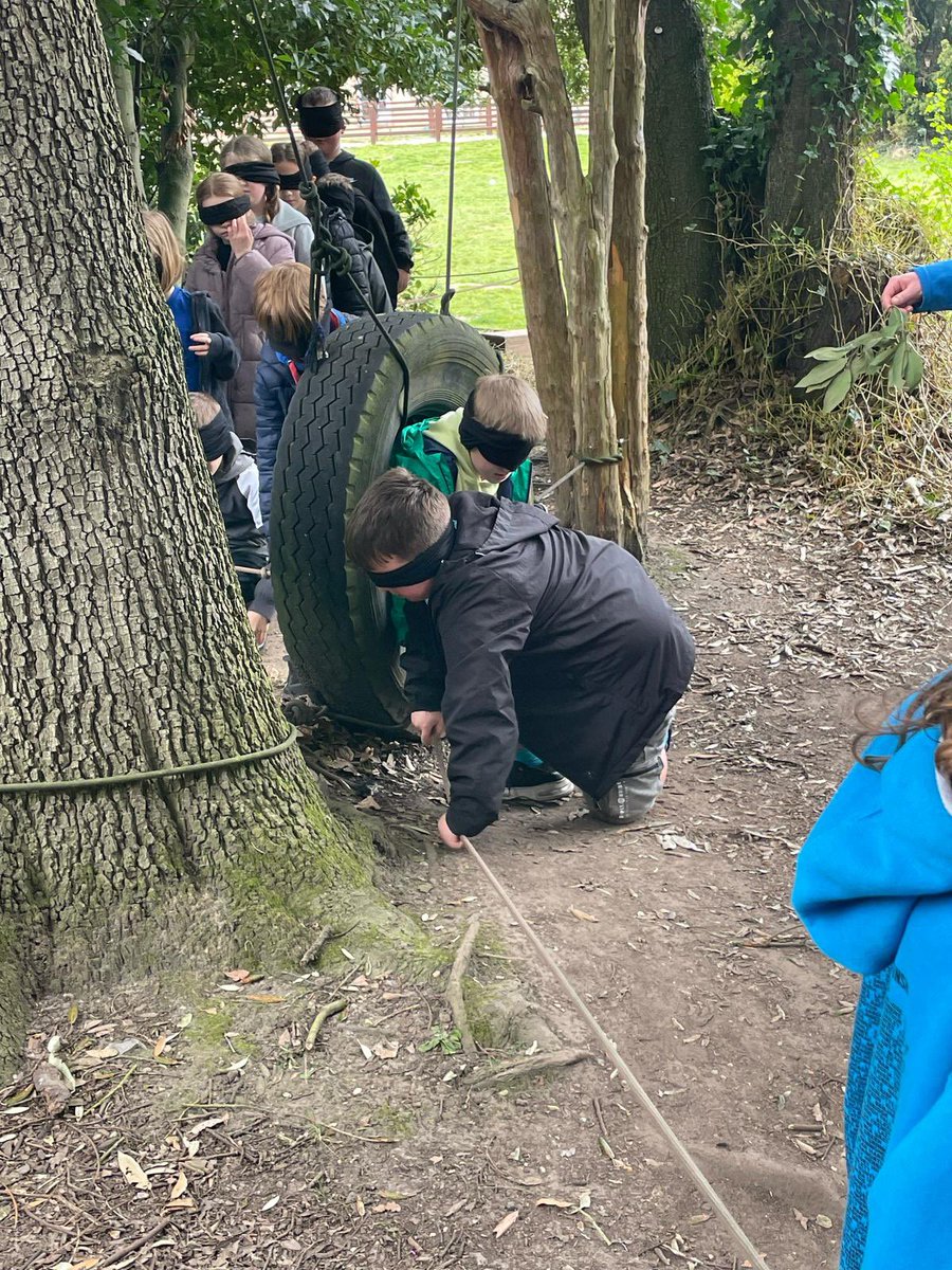 BVS Year 4 tweet media