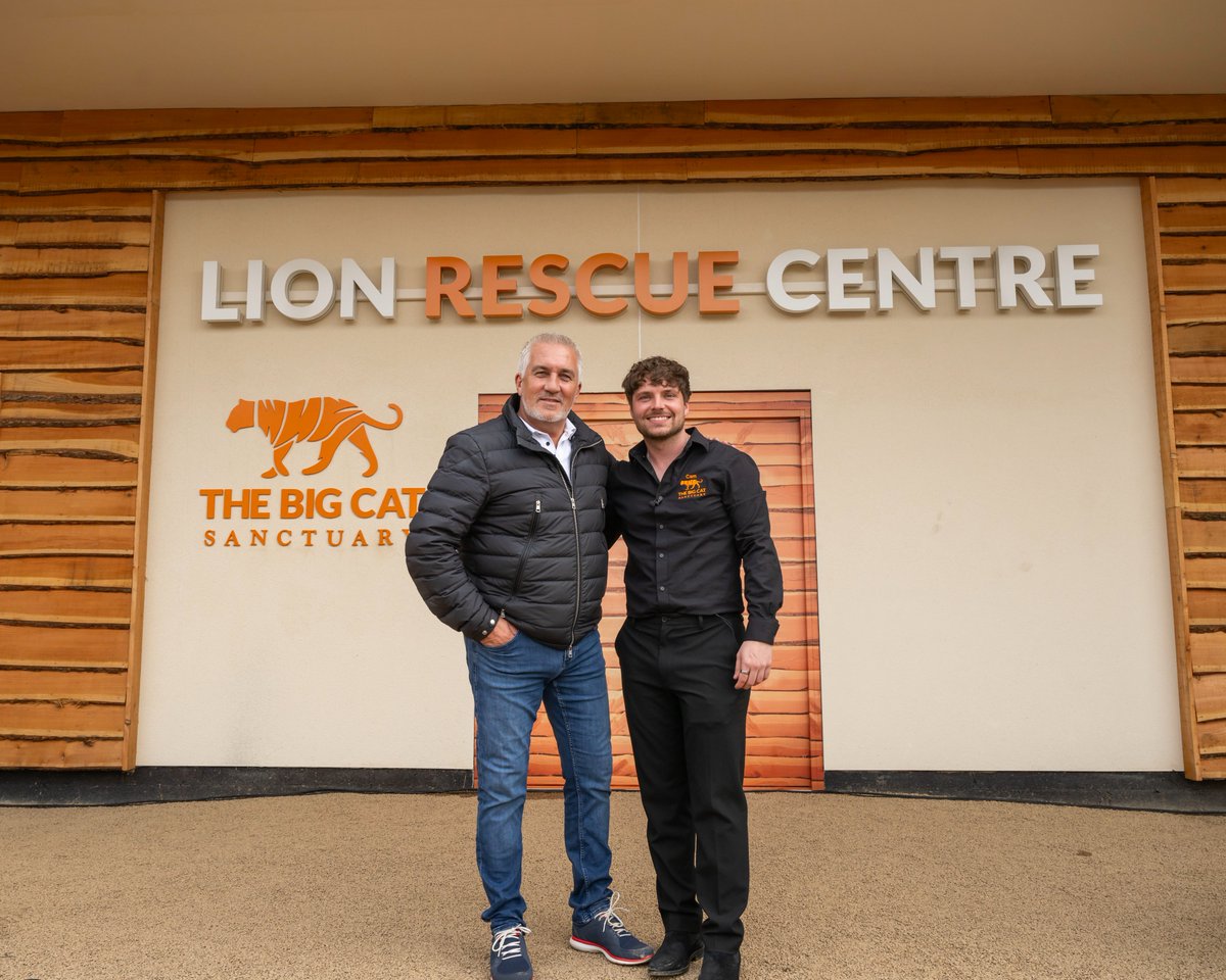 TheBigCatSanct's tweet image. The Lion Rescue Centre is OPEN! 🦁🎉 All five rescued lions have settled in beautifully, showing curiosity and playfulness as they interact in their habitats. Huge thanks to those who made this rescue possible! Here’s to a bright future! 🦁 #TheBigCatSanctuary #BigCats #Rescue
