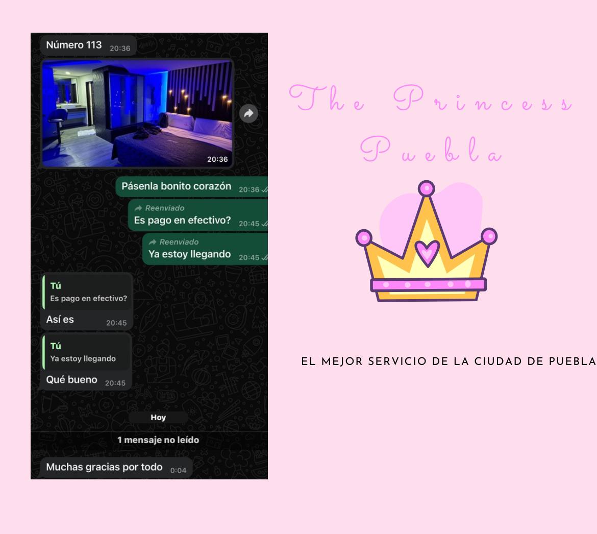 QueensPue's tweet photo. Calidad y confianza.👑💖 https://t.co/zU7iVzKxVk