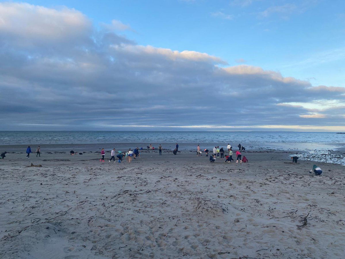 Gilnahirk Primary tweet media