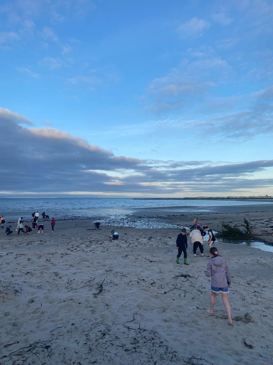 Gilnahirk Primary tweet media