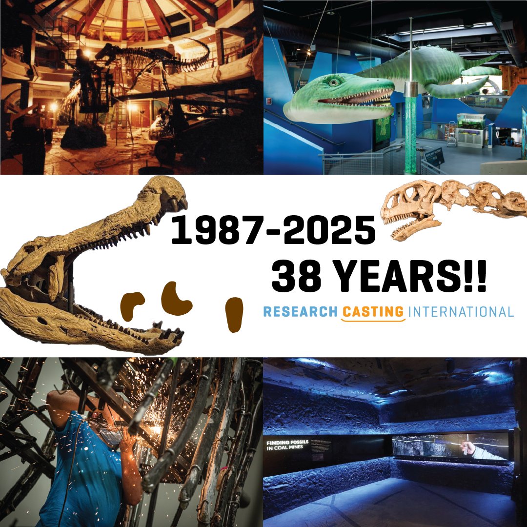 Happy Birthday Research Casting International! Today, we celebrate our 38th anniversary! Established in 1987, our amazing #SkeletonCrew has been a mainstay in the Museum Technical Services Industry for thirty-eight years and we would like to extend our heartfelt gratitude to our