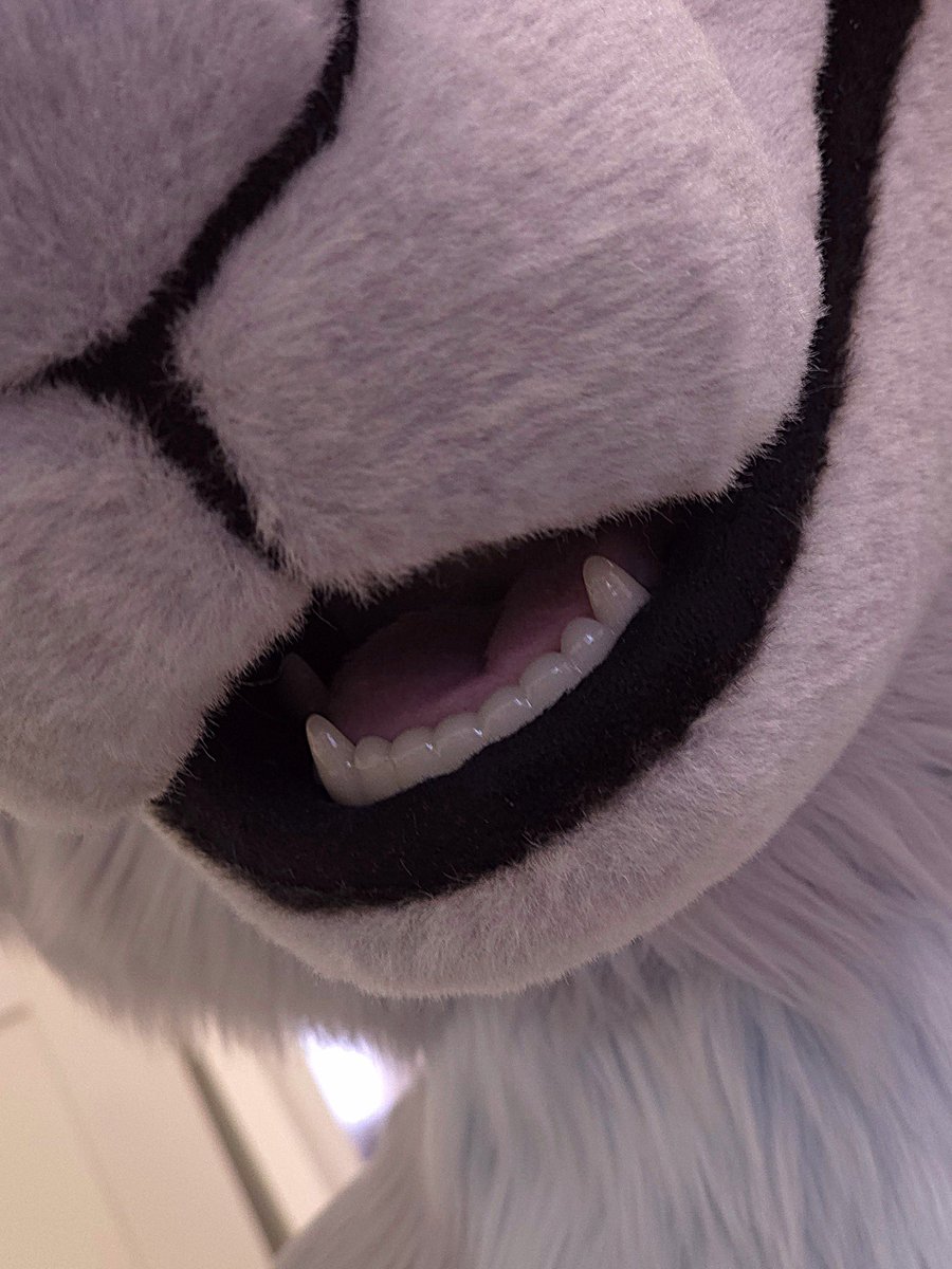 Western Vibe Saloon tweet media