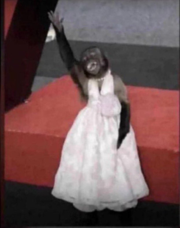 Let go my soul and trust in Him..

🎶🎶🎶