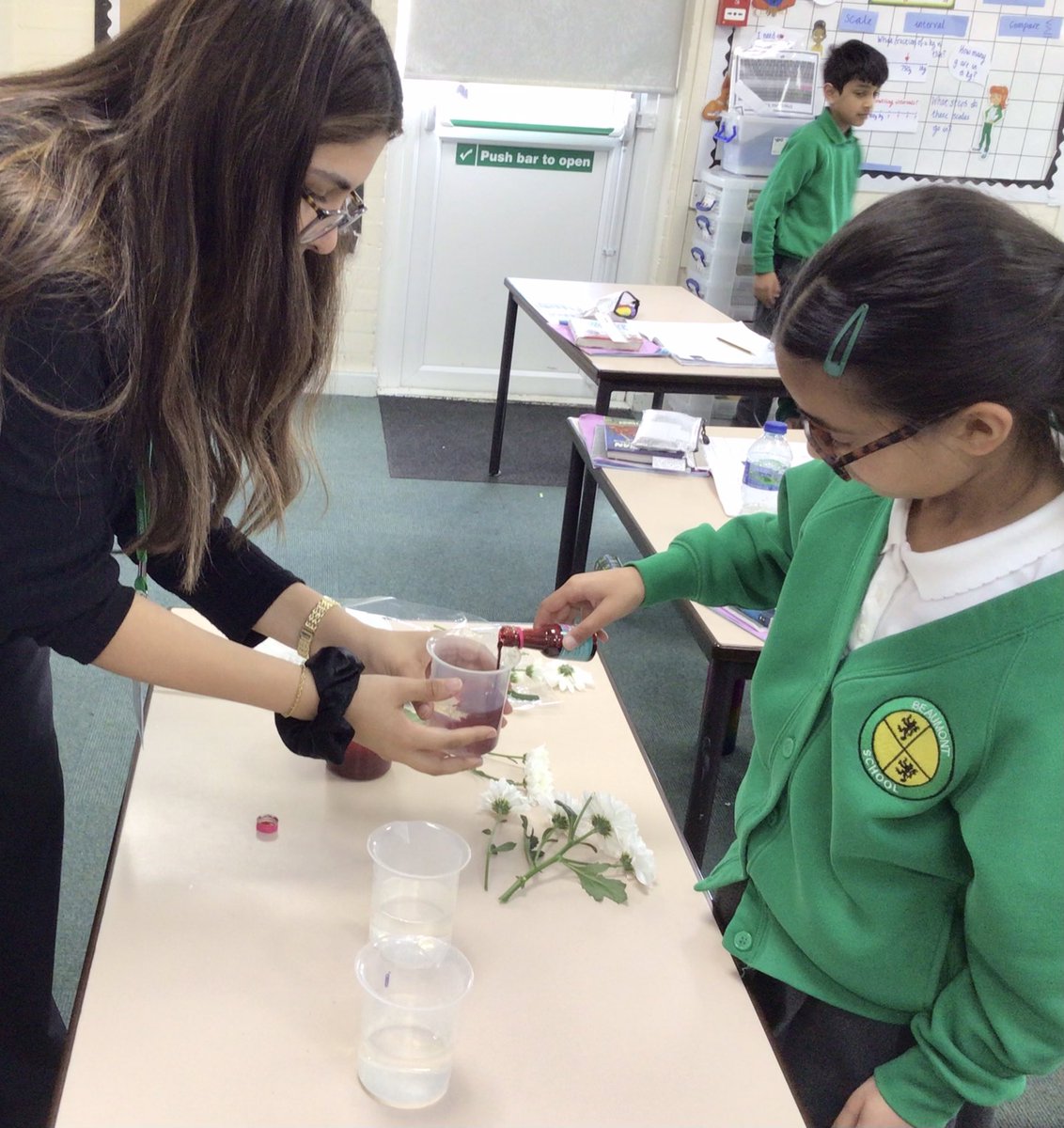 BeaumontYear3 tweet media