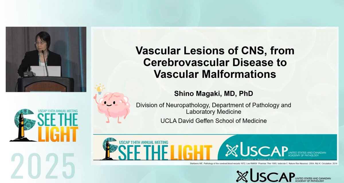 pathologistmom's tweet photo. Don’t miss the incredible Dr. Shino Magaki, one of my favorite neuropathologists, as she dives into Vascular Lesions of the CNS: From Cerebrovascular Disease to Vascular Malformations. Now available on-demand at @TheUSCAP ! 💙💛 @UCLA_Pathology  #USCAP2025 #WomenInSTEM https://t.co/0YaOecv0Gv