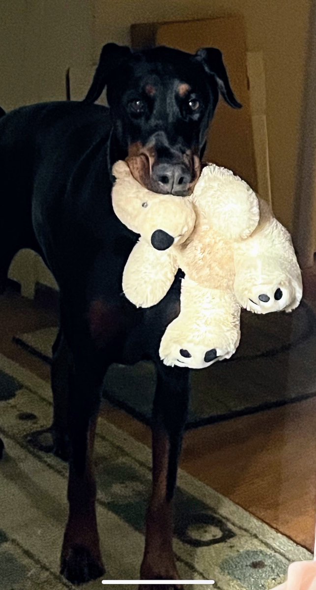 My dear friend.