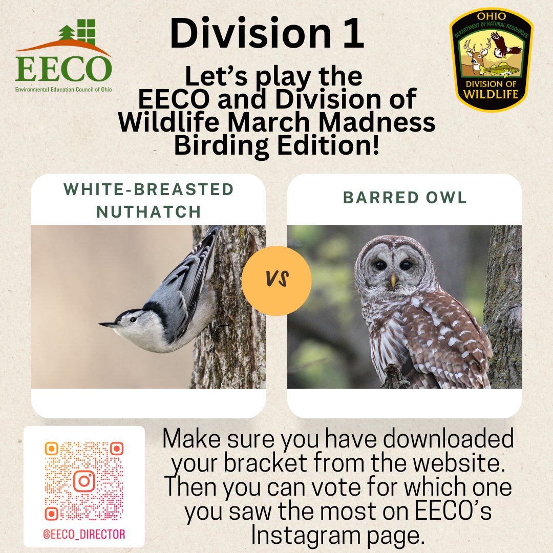 directorEECO's tweet image. Play along and let us know which bird you saw more by voting on our Instagram page. 
To learn about our March Madness Bird Brackets, go to: eeco.wildapricot.org/page-1786411

#getoutside #marchmadnessbirdbracket #BirdingFun