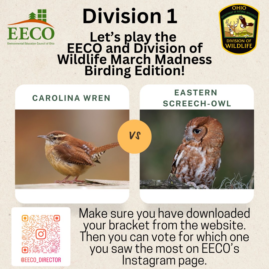 directorEECO's tweet image. Play along and let us know which bird you saw more by voting on our Instagram page. 
To learn about our March Madness Bird Brackets, go to: eeco.wildapricot.org/page-1786411

#getoutside #marchmadnessbirdbracket #BirdingFun