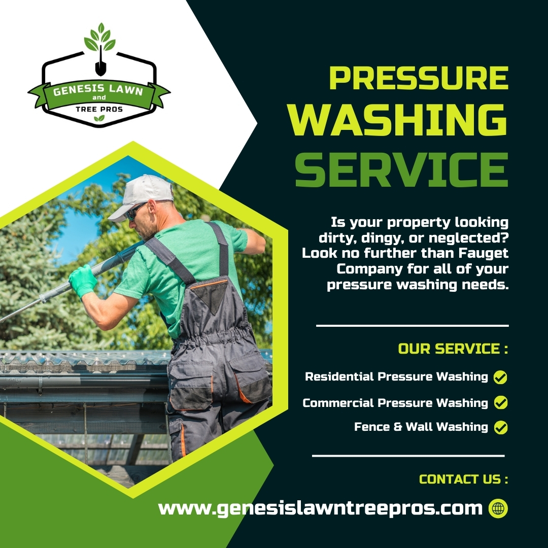 GenesisLawnTree's tweet photo. Revitalize your property with our professional pressure washing services.
✔ House Washing 
✔ Driveway &amp; Walkway Cleaning 
✔ Deck &amp; Patio Cleaning
✔ Fence &amp; Wall Washing
https://t.co/y0BL3jzZVh

#lawncare #lawnmower #pressurewashing #LawnCareService #lawnmaintenance #lawn https://t.co/kfzpWaqnsb