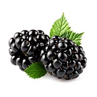 WhiteRabbitInst's tweet photo. DELICIOUS BLACKBERRY FRUIT, AND ITS leaves and roots have been used for centuries to heal diarrhea, female disorders, and wounds. 
MORE ABOUT BLACKBERRY: https://t.co/wDgIVvudf6
#wrihealing #WRI #whiterabbitinstituteofhealing #TCM #medicinalherbs #culinaryherb #blackberry https://t.co/inwK6LSrNU